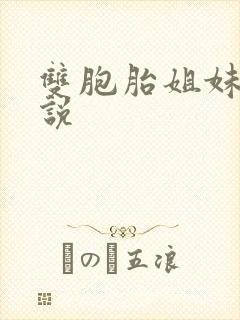 双胞胎姐妹的小说