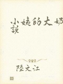 小姨的大奶子小说
