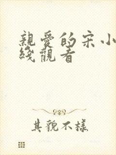 亲爱的宋小姐在线观看