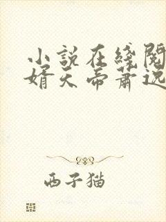 小说在线阅读赘婿天帝萧逸封面