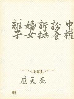 离婚诉讼中关于子女抚养权归属问题封面