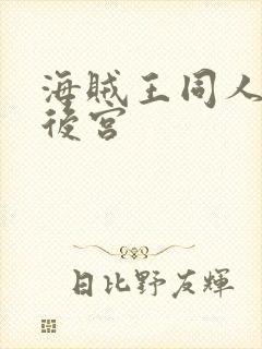 海贼王同人小说后宫