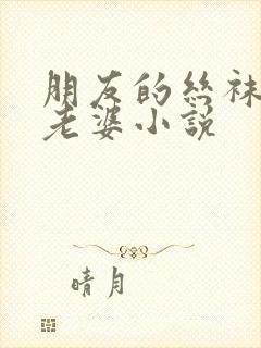 朋友的丝袜人妻老婆小说