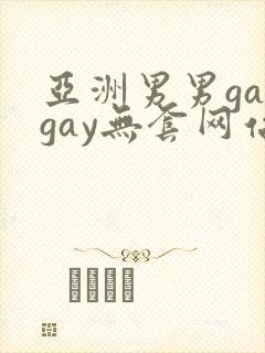 亚洲男男gaygay无套网站