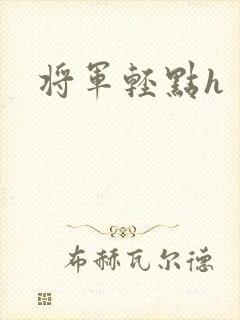 将军轻点h封面