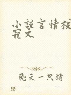 小说言情校园甜宠文