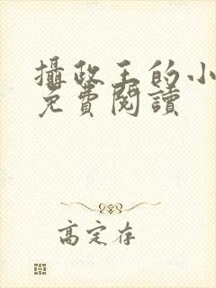 摄政王的小宠妃免费阅读