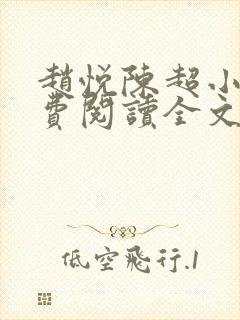 赵悦陈超小说免费阅读全文下载