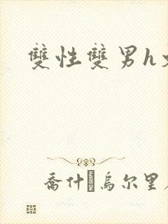 双性双男h文