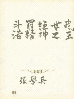 斗罗绝世我霍雨浩精神之主小说免费阅读