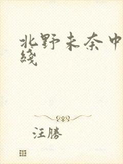 北野未奈中文在线封面