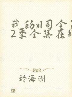 我的xl司令第2季全集在线观看