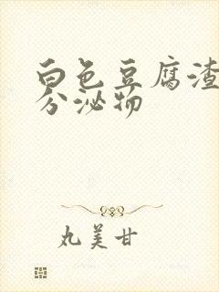 白色豆腐渣无味分泌物