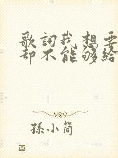 歌词我想要的你却不能够给你我全部