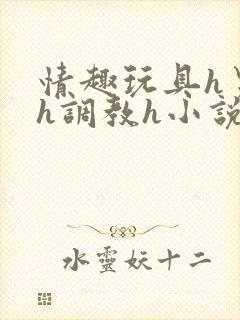 情趣玩具h男男h调教h小说