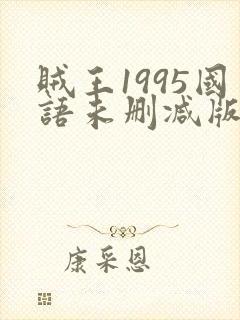 贼王1995国语未删减版免费观看