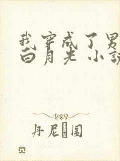 我穿成了男主的白月光 小说