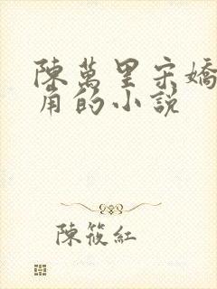 陈万里宋娇娇主角的小说封面