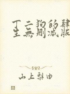 丁二狗的肆意人生无删减版下载