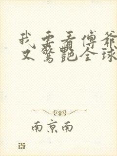 我要看傅爷夫人又惊艳全球了小说封面