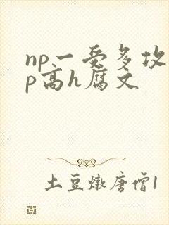 np一受多攻np高h腐文