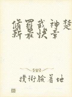 修罗武神楚枫最新最快章