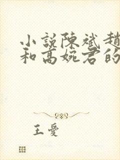 小说陈斌赵心媚和高婉君的小说免费阅读