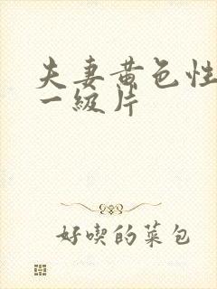 夫妻黄色性生活一级片