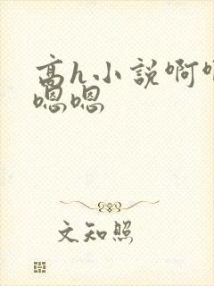 高h小说啊啊啊嗯嗯