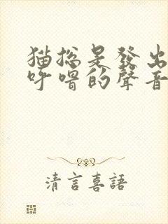 猫总是发出呼噜呼噜的声音是为什么