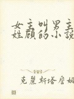 女主叫男主叔叔姓顾的小说封面