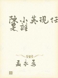 陈小英现任丈夫是谁封面