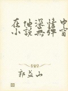 在他深情中陨落小说无弹窗