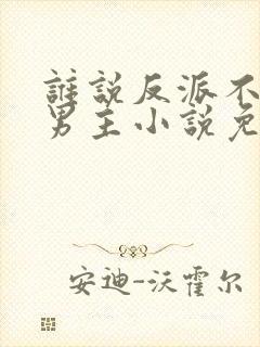 谁说反派不能当男主小说免费