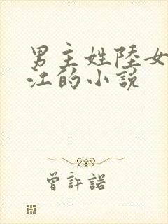 男主姓陆女主姓江的小说