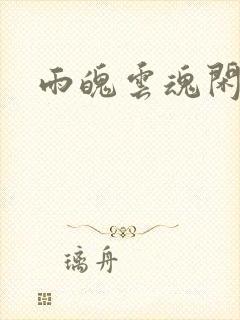 雨魄云魂闲相欢封面