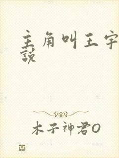 主角叫王宇的小说