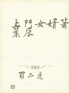 上门女婿萧初然叶辰