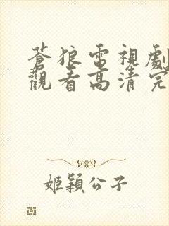 苍狼电视剧在线观看高清完整免费