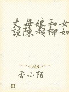 丈母娘和女婿小说陈超柳如烟