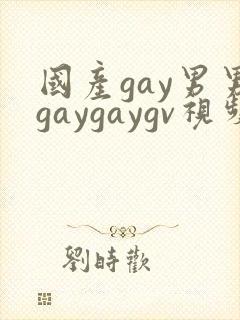 国产gay男男gaygaygv视频
