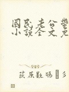 国民老公带回家小说全文免费阅读