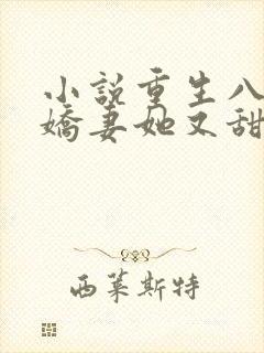 小说重生八零:娇妻她又甜又辣