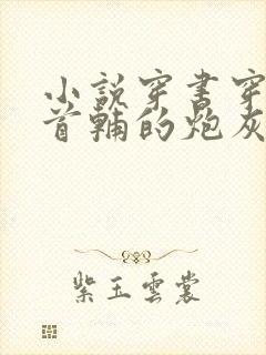 小说穿书穿成了首辅的炮灰原配封面