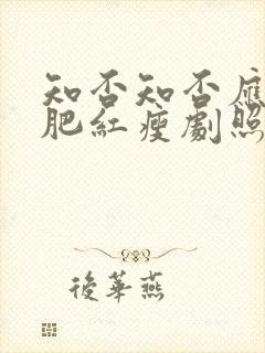 知否知否应是绿肥红瘦剧照