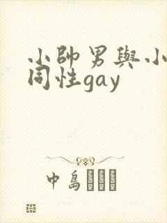小帅男与小鲜肉同性gay封面
