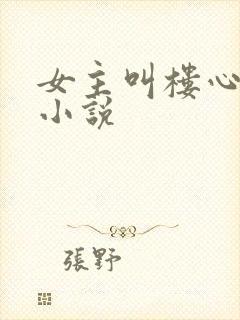 女主叫楼心月的小说