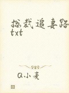 总裁追妻路漫漫txt