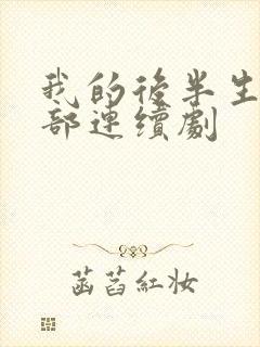 我的后半生第二部连续剧