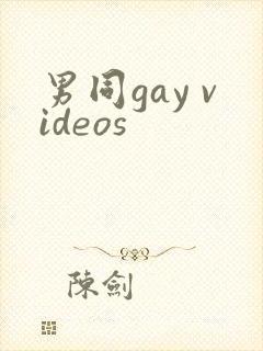 男同gay videos封面